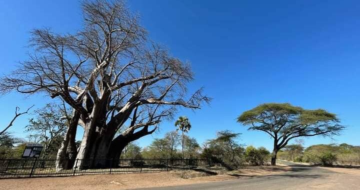 Victoria Falls Explorers